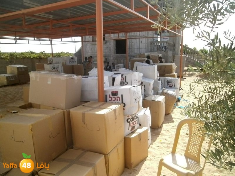 sha7ena ludi31 (14).JPG